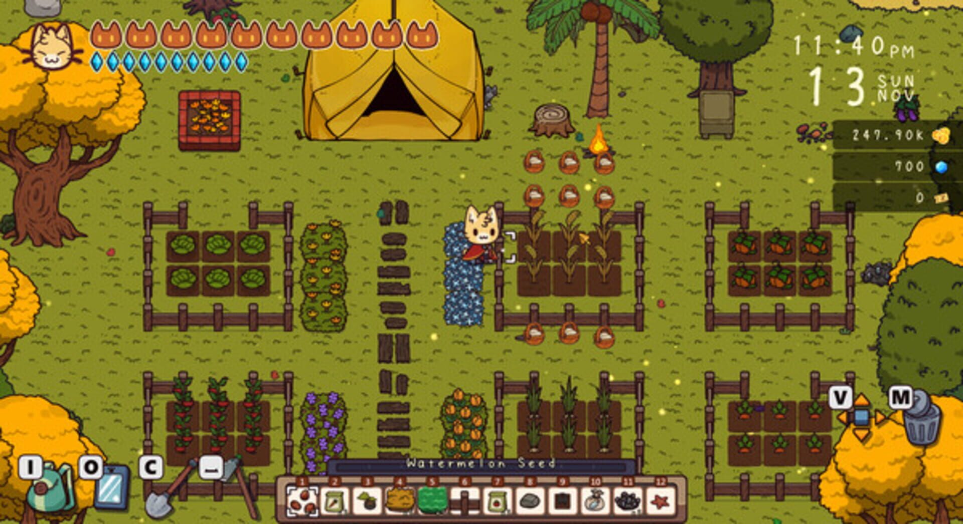 Travel Cat: Adventure Island - Screenshot