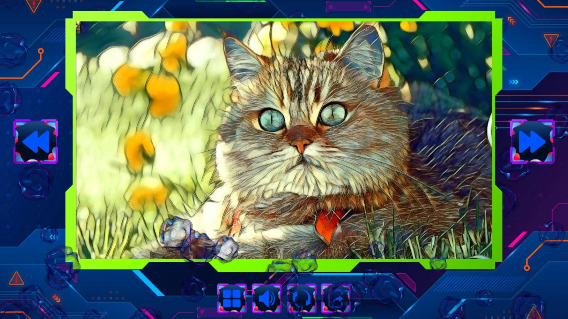 Thumbnail 6