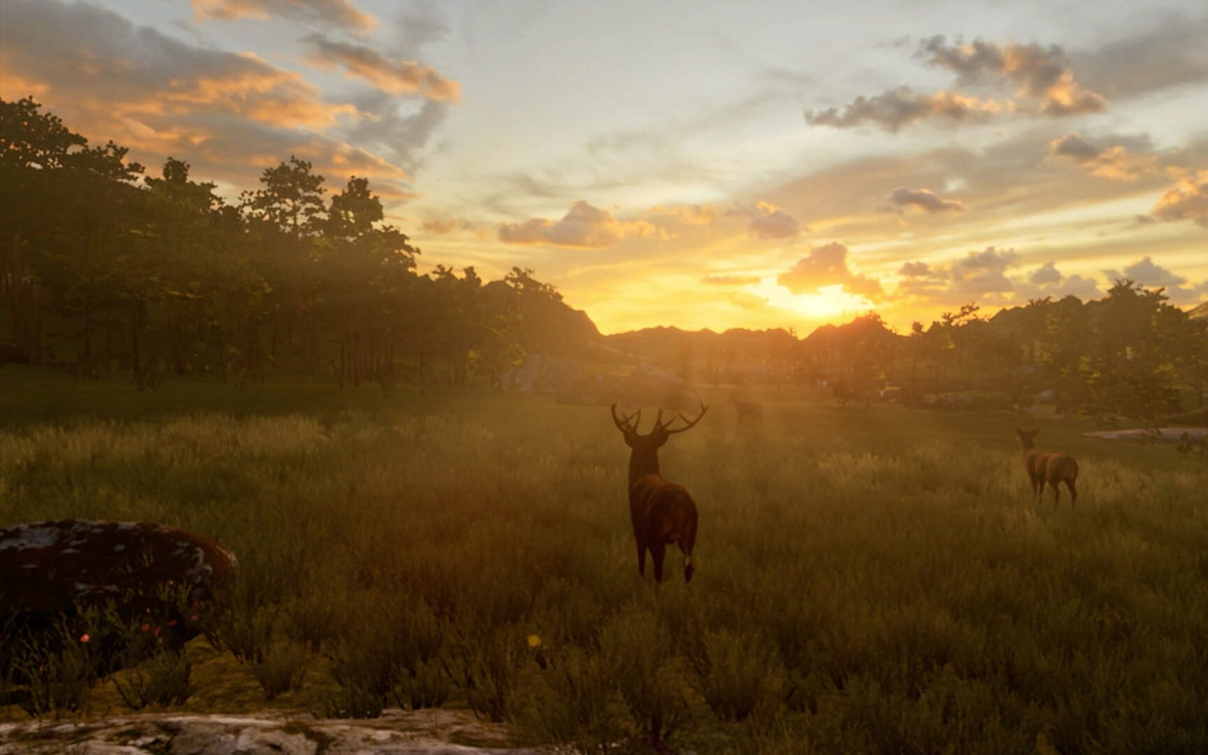 Memoria: Stories of La Garma - Screenshot