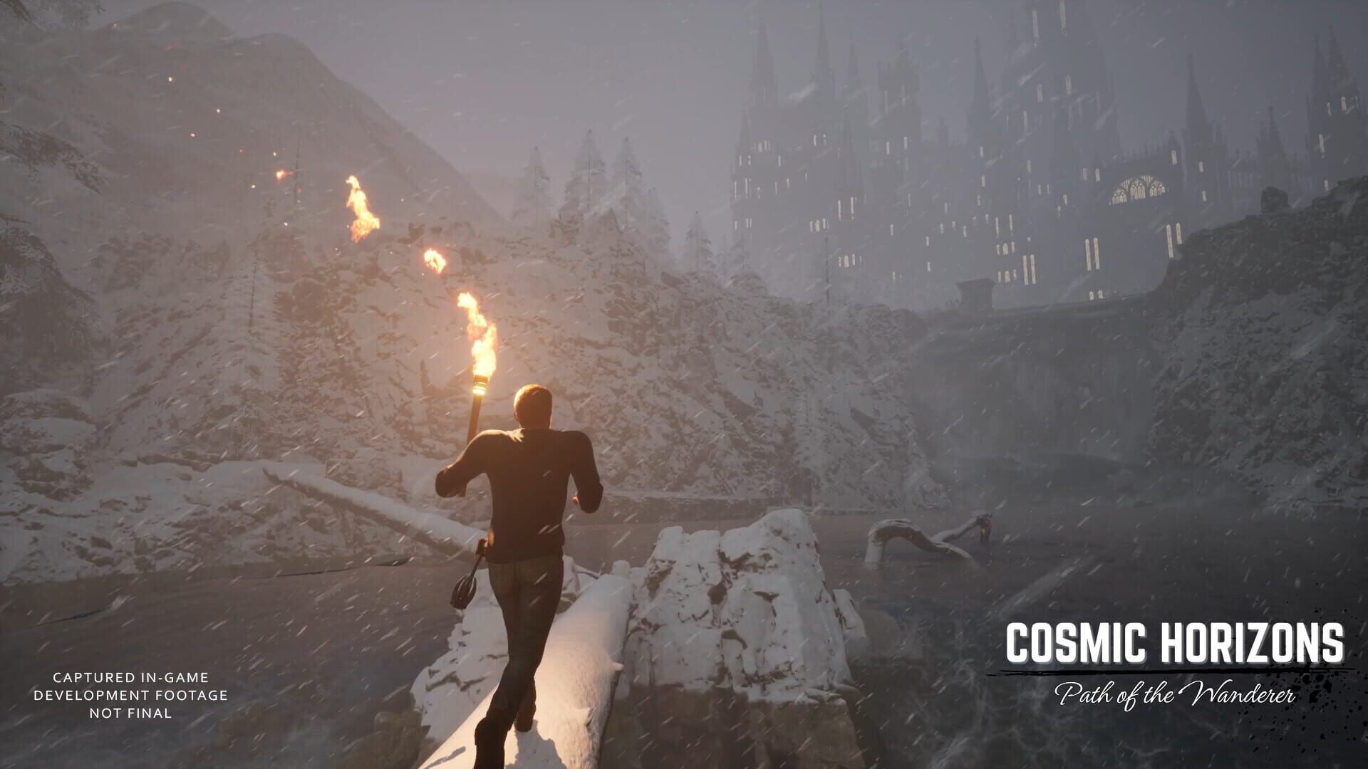 Cosmic Horizons: Path of the Wanderer - Screenshot