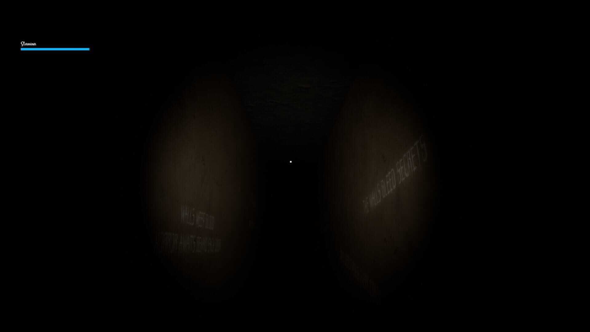 Veranoia: Nightmare of Case 37 - Screenshot