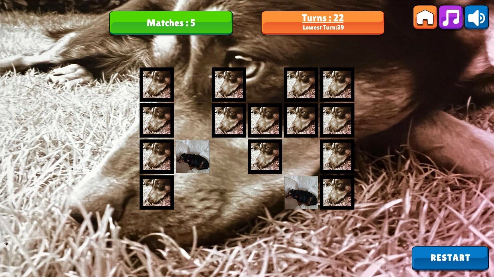 OG Memory: Kira Maus - Screenshot