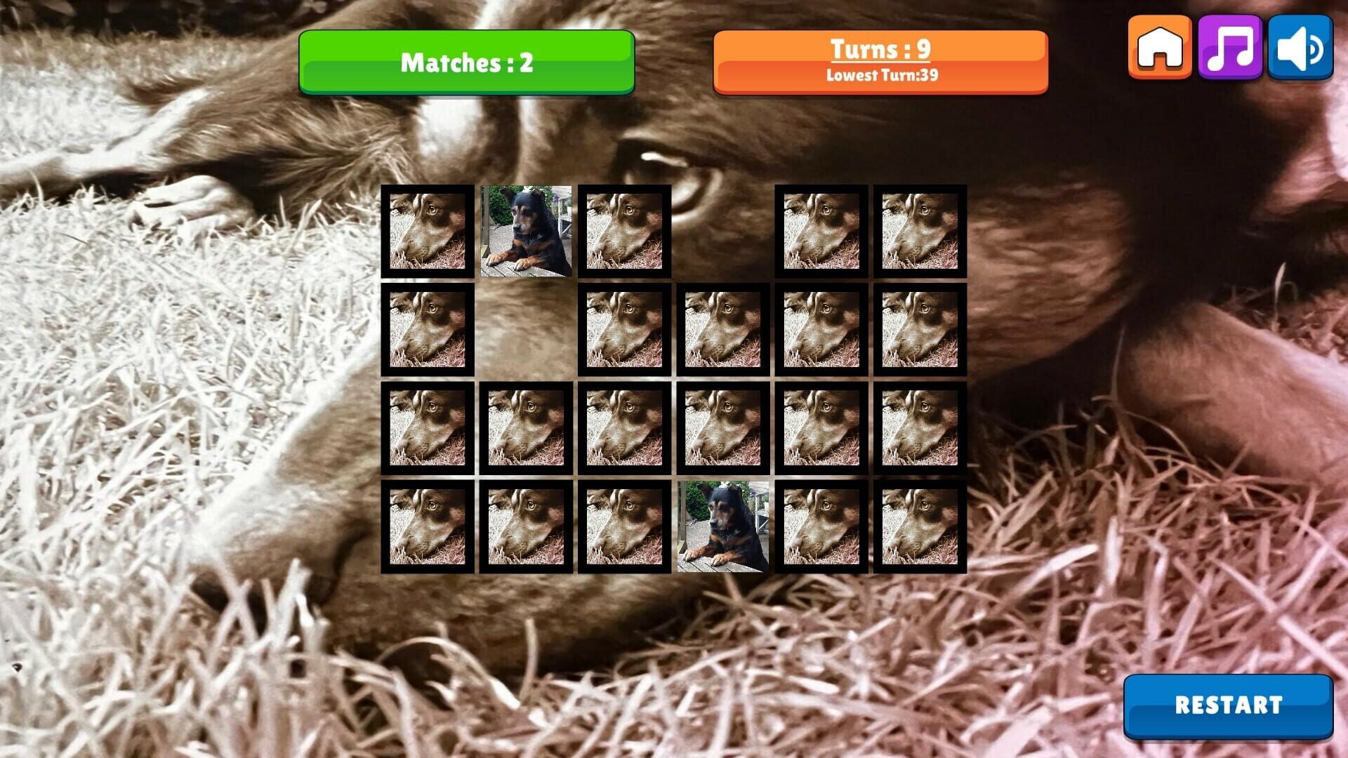 OG Memory: Kira Maus - Screenshot