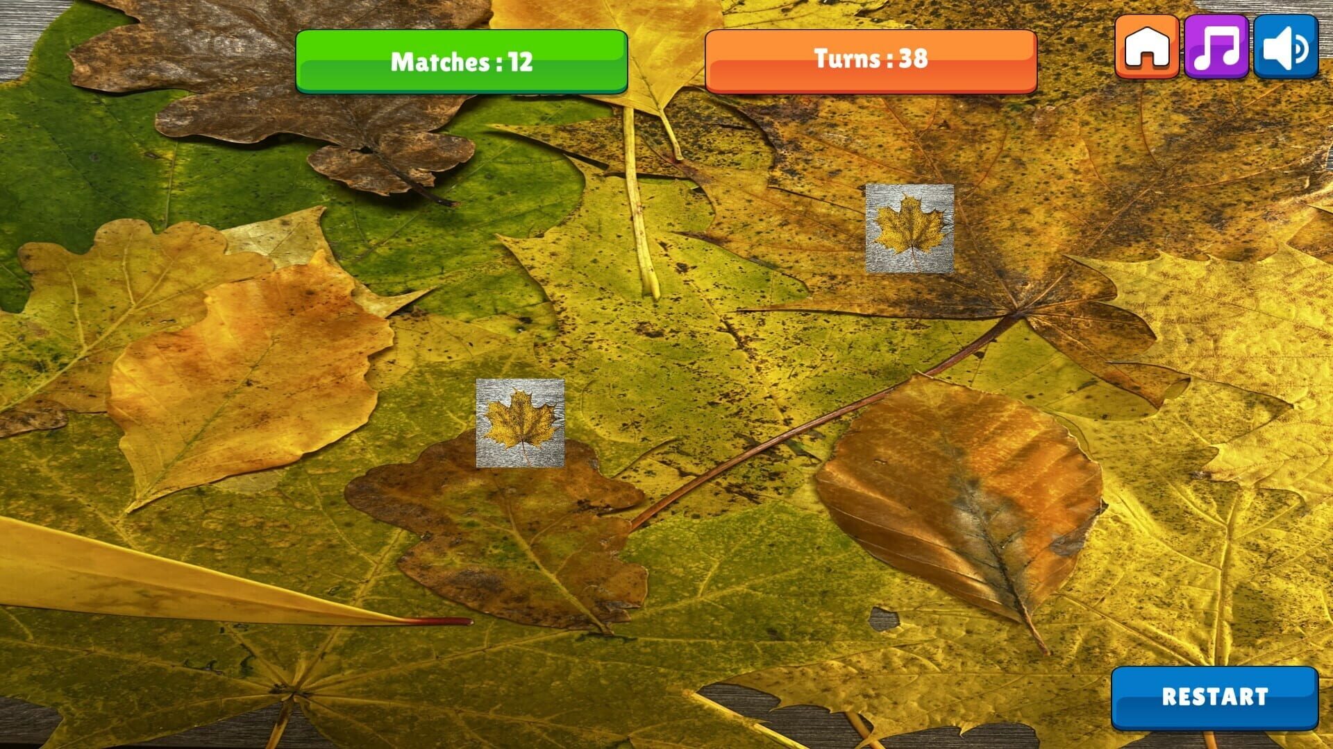 OG Memory: Fall 2K23 - Screenshot