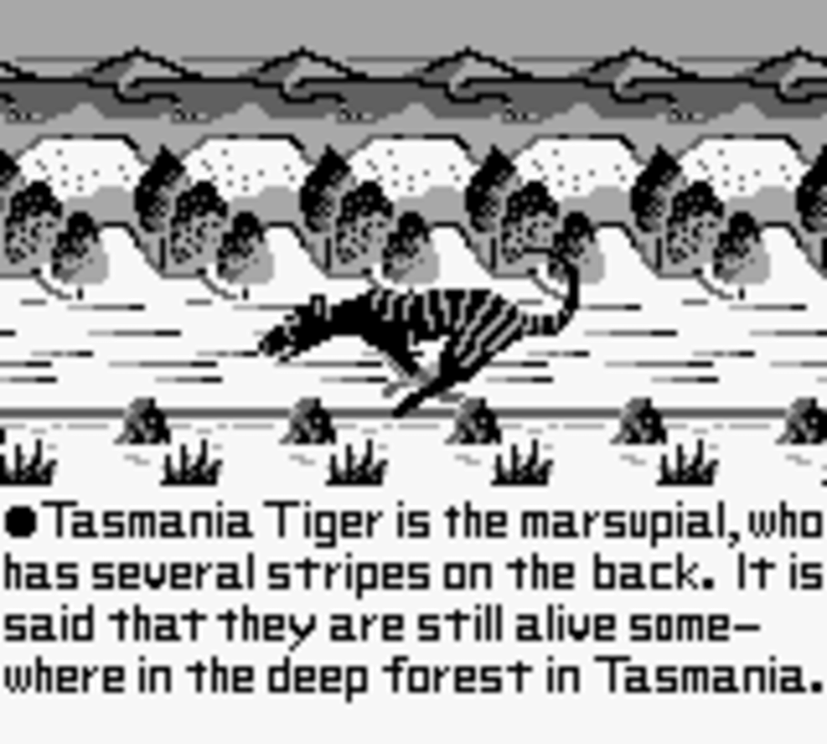 Tasmania Story screenshot