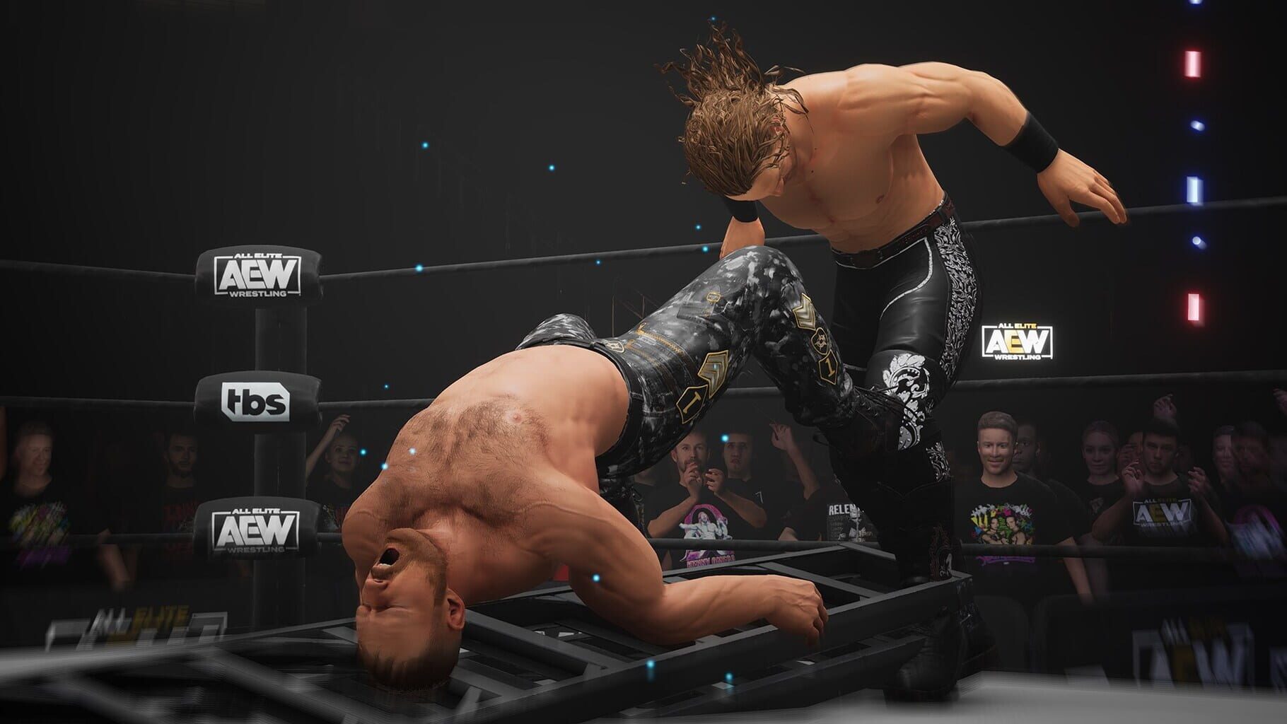 Captura de pantalla - All Elite Wrestling: Fight Forever - Bring the Boom Edition