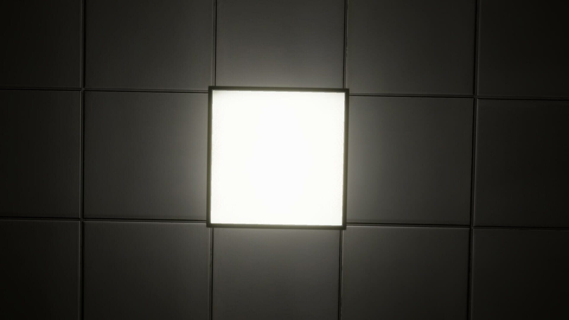 Backrooms: The Hunt - Screenshot