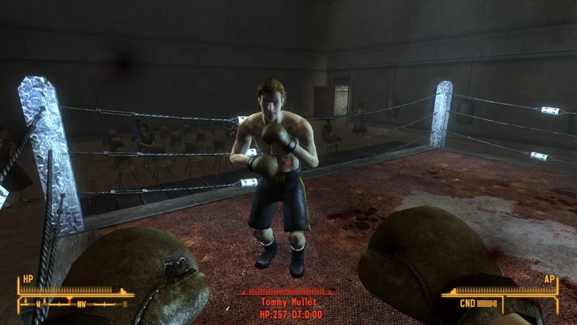 King of the Ring - Screenshot