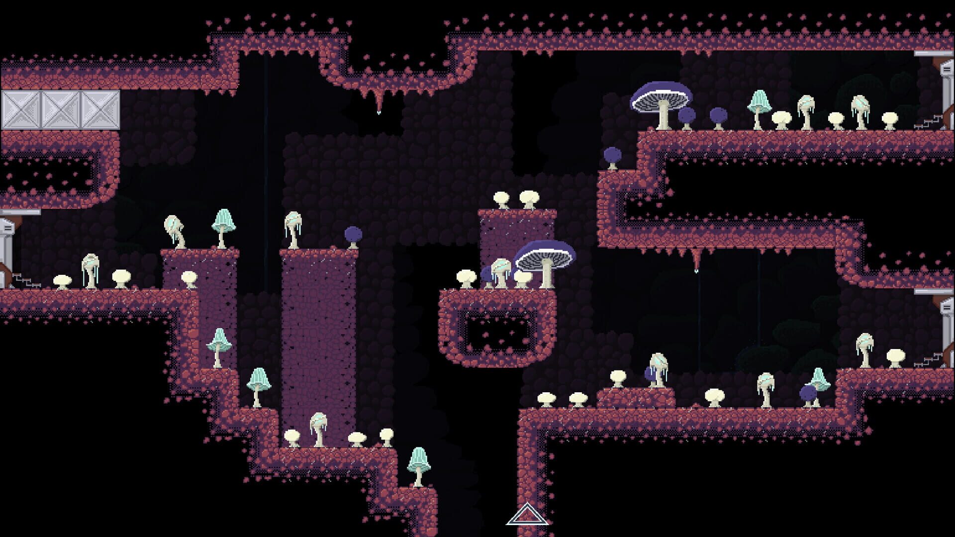 Xenomycology - Screenshot
