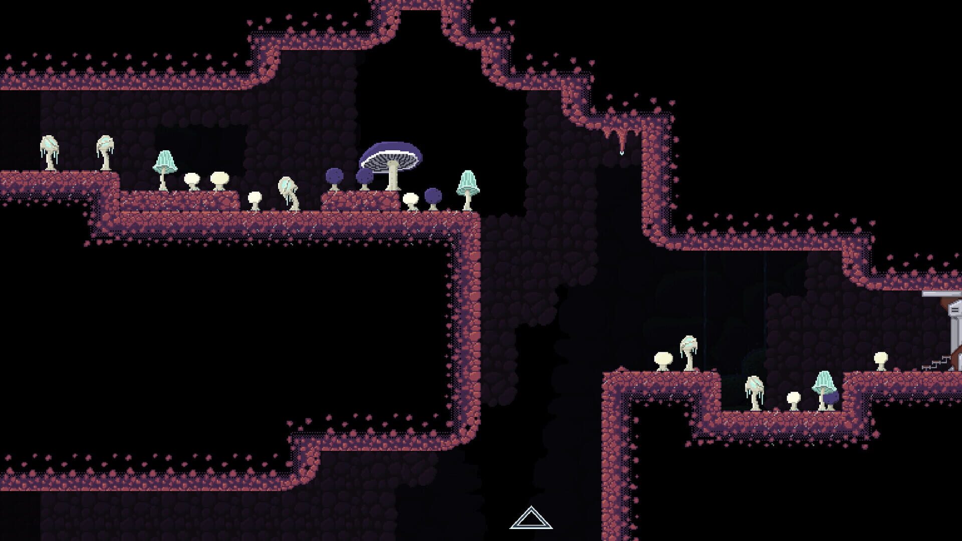 Xenomycology - Screenshot