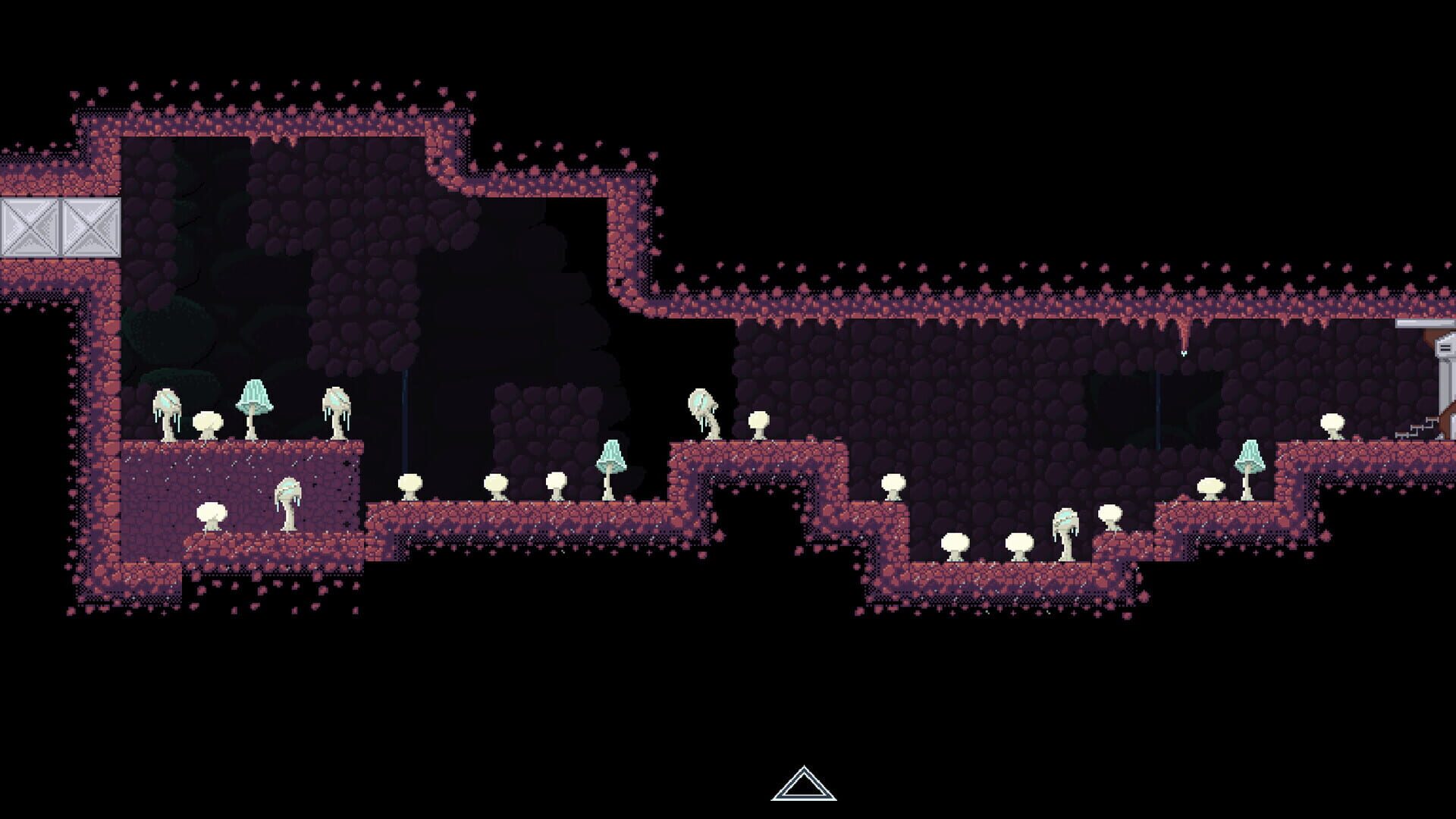 Xenomycology - Screenshot