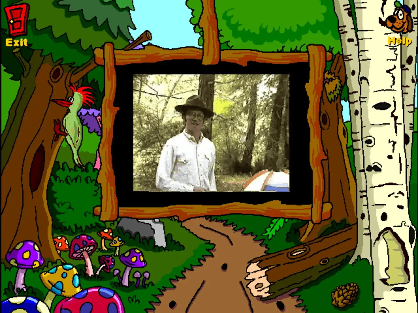 Thumbnail 12