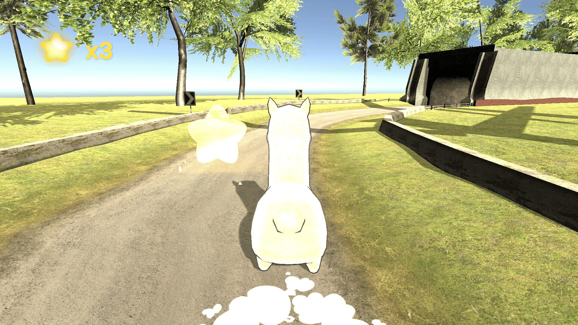 Animal Race Party - Screenshot