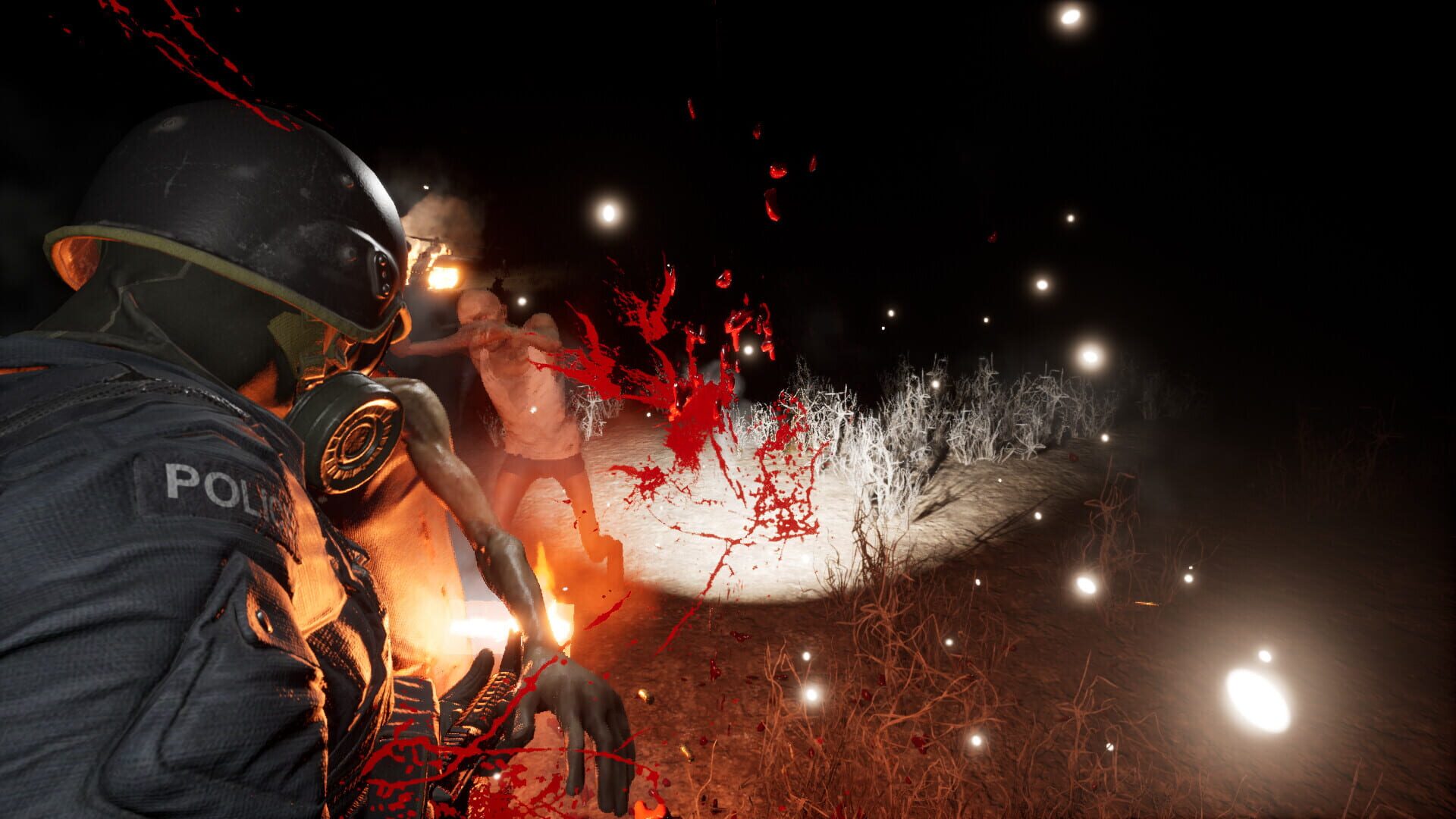 The Jiang Shi - Screenshot