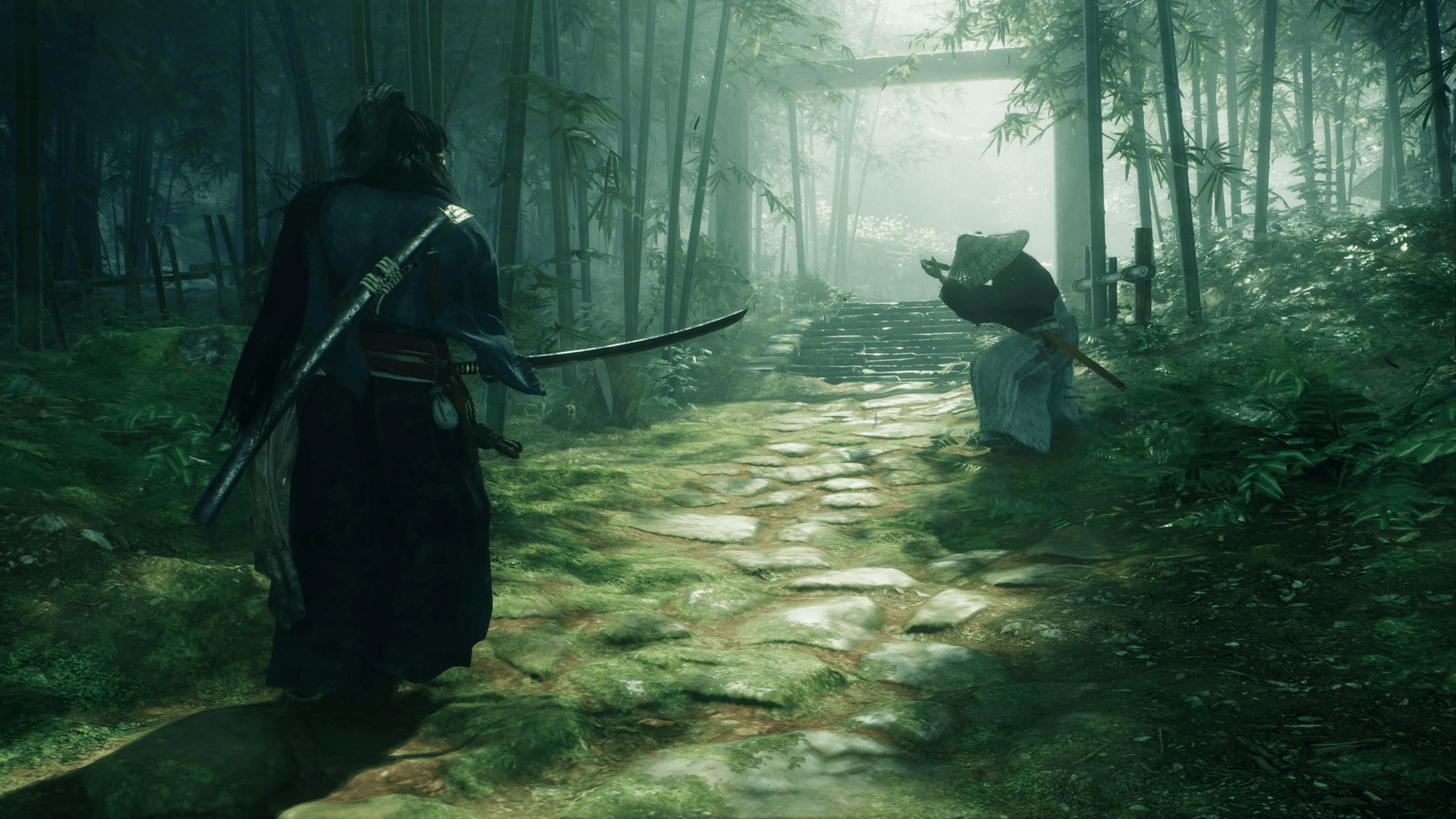 Rise of the Ronin: Digital Deluxe Edition screenshot