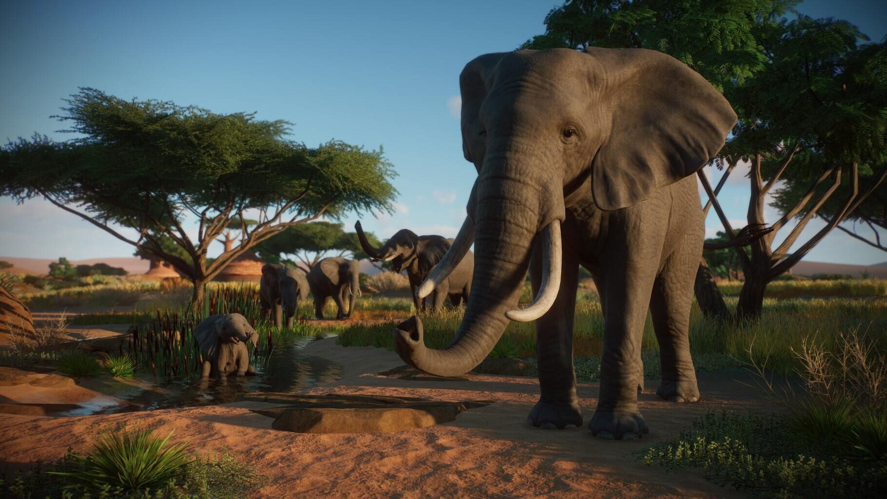 Planet Zoo: Console Edition Image