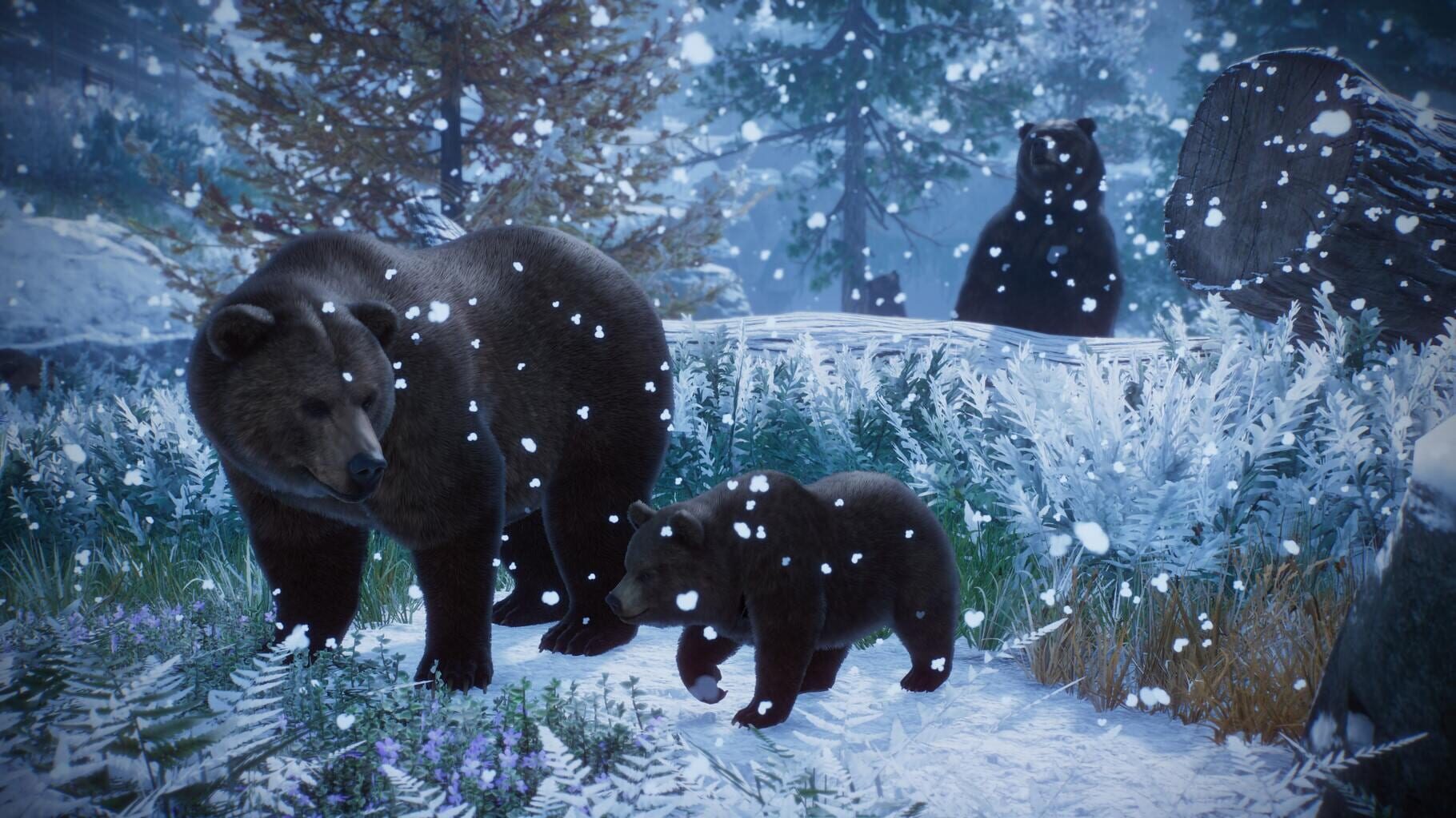 Planet Zoo: Console Edition Image