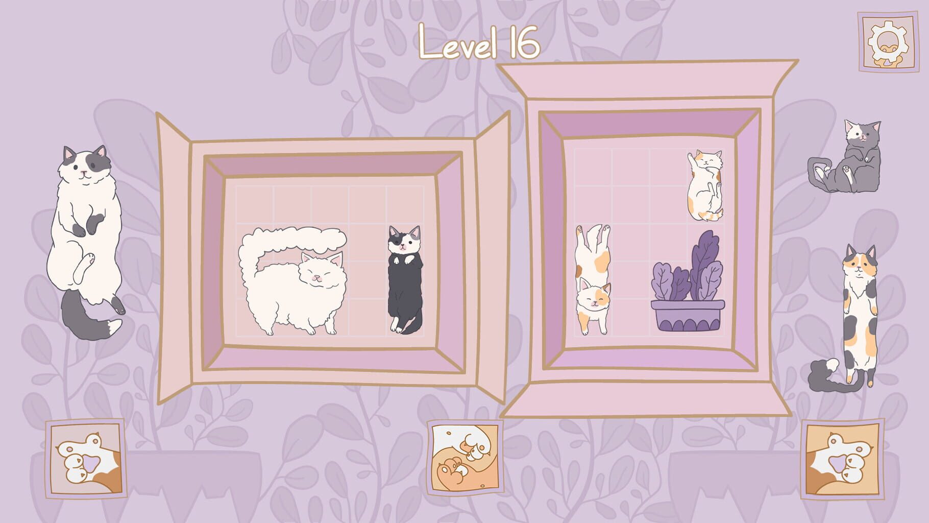 Cats in Boxes screenshot