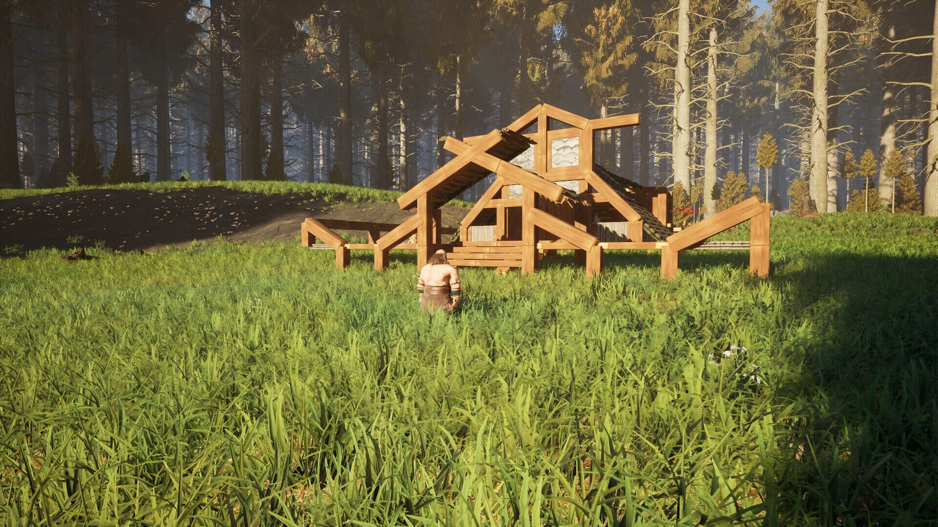 Dwarf Land - Screenshot