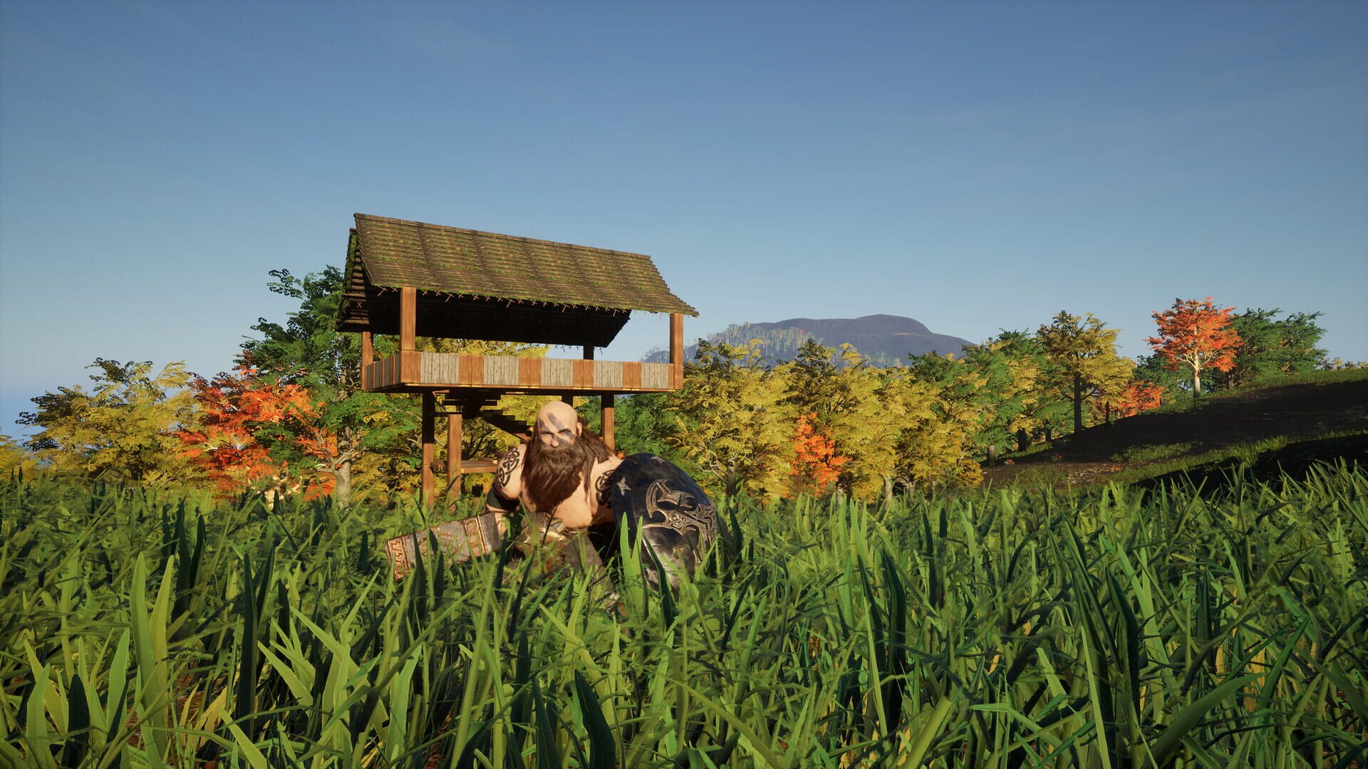 Dwarf Land - Screenshot
