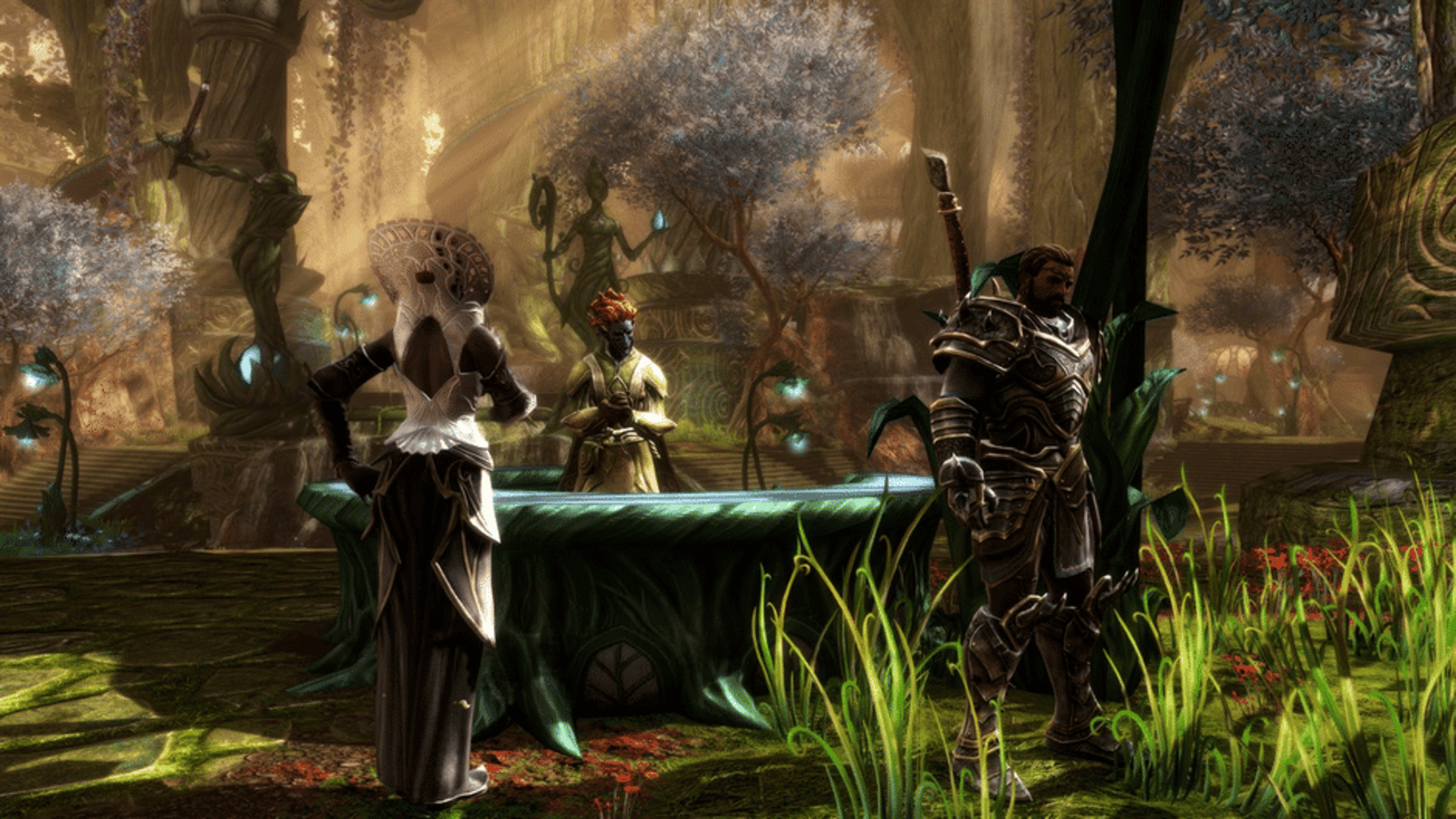 Kingdoms of Amalur: Re-Reckoning - Collector's Edition screenshot