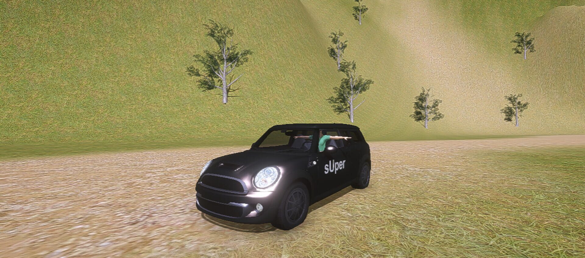 Super: Taxi Simulation - Screenshot
