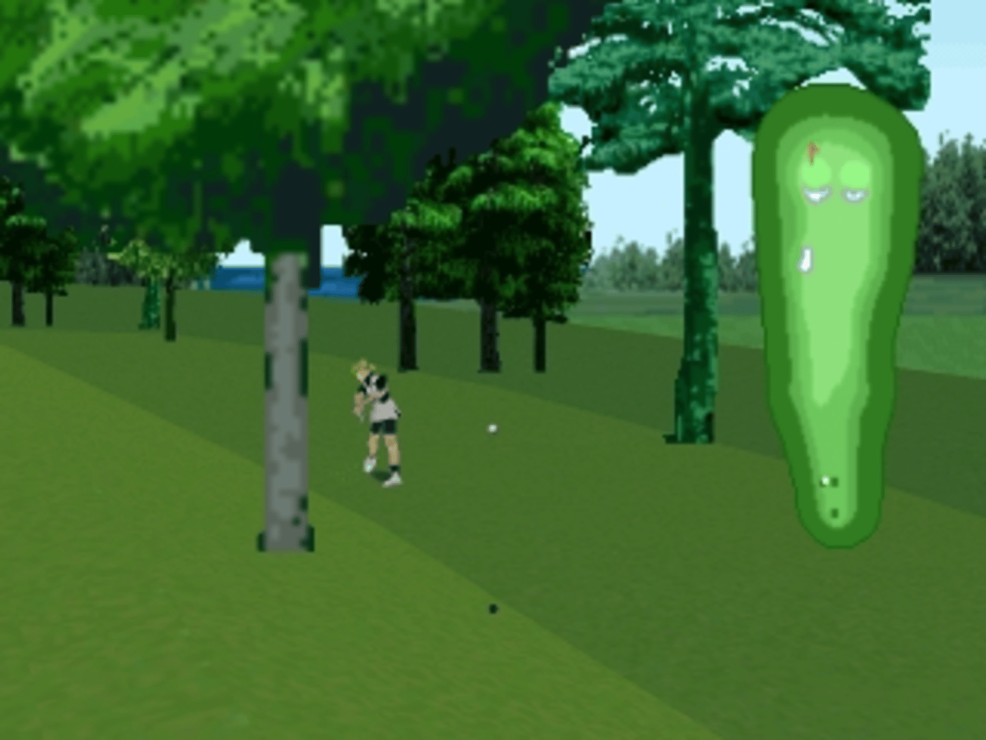 Nihon Pro Golf Double Eagle screenshot