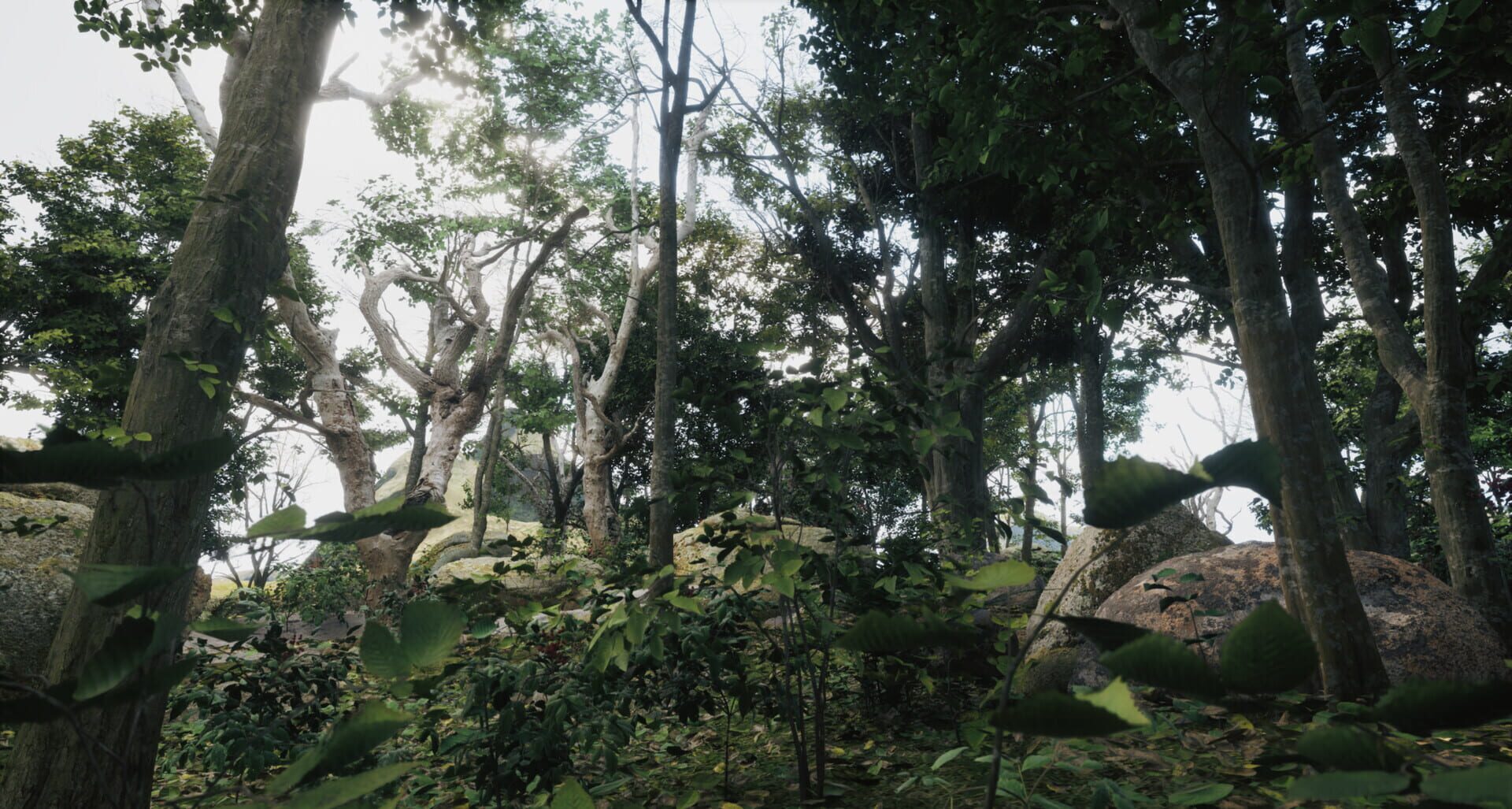 The Trip - Screenshot
