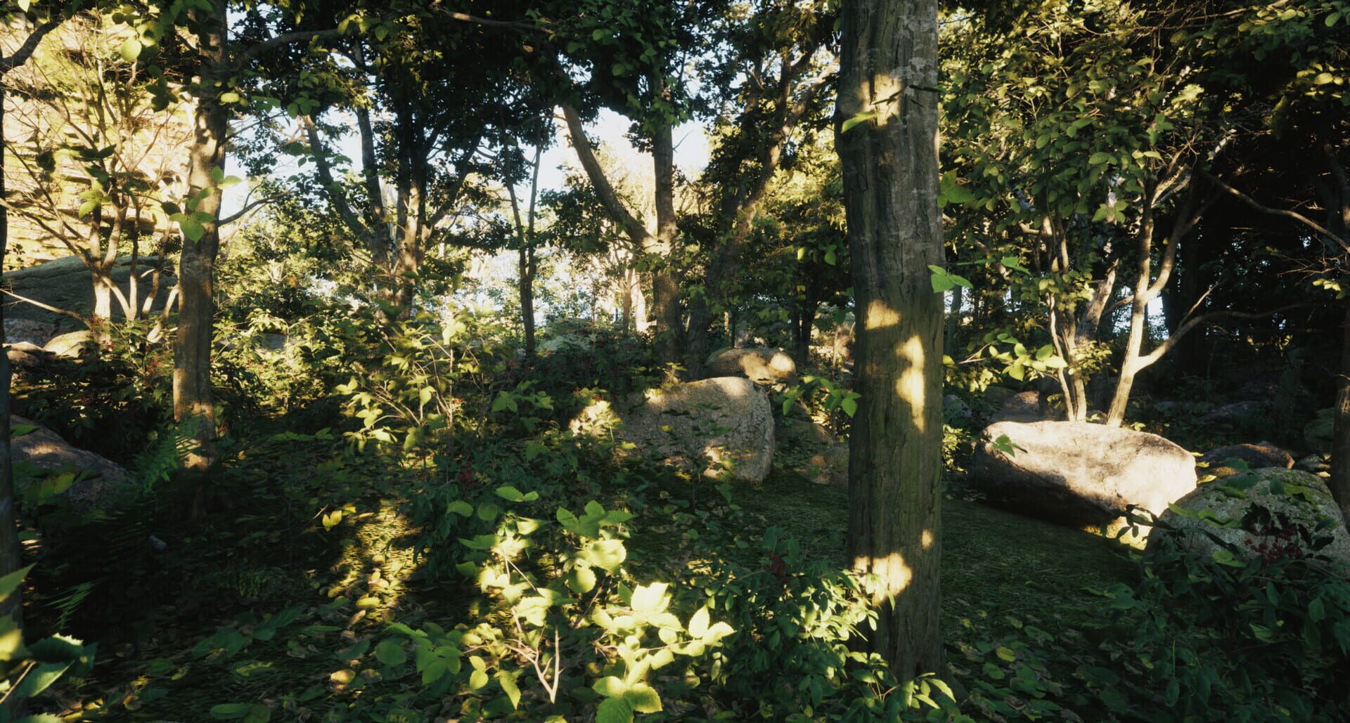 The Trip - Screenshot