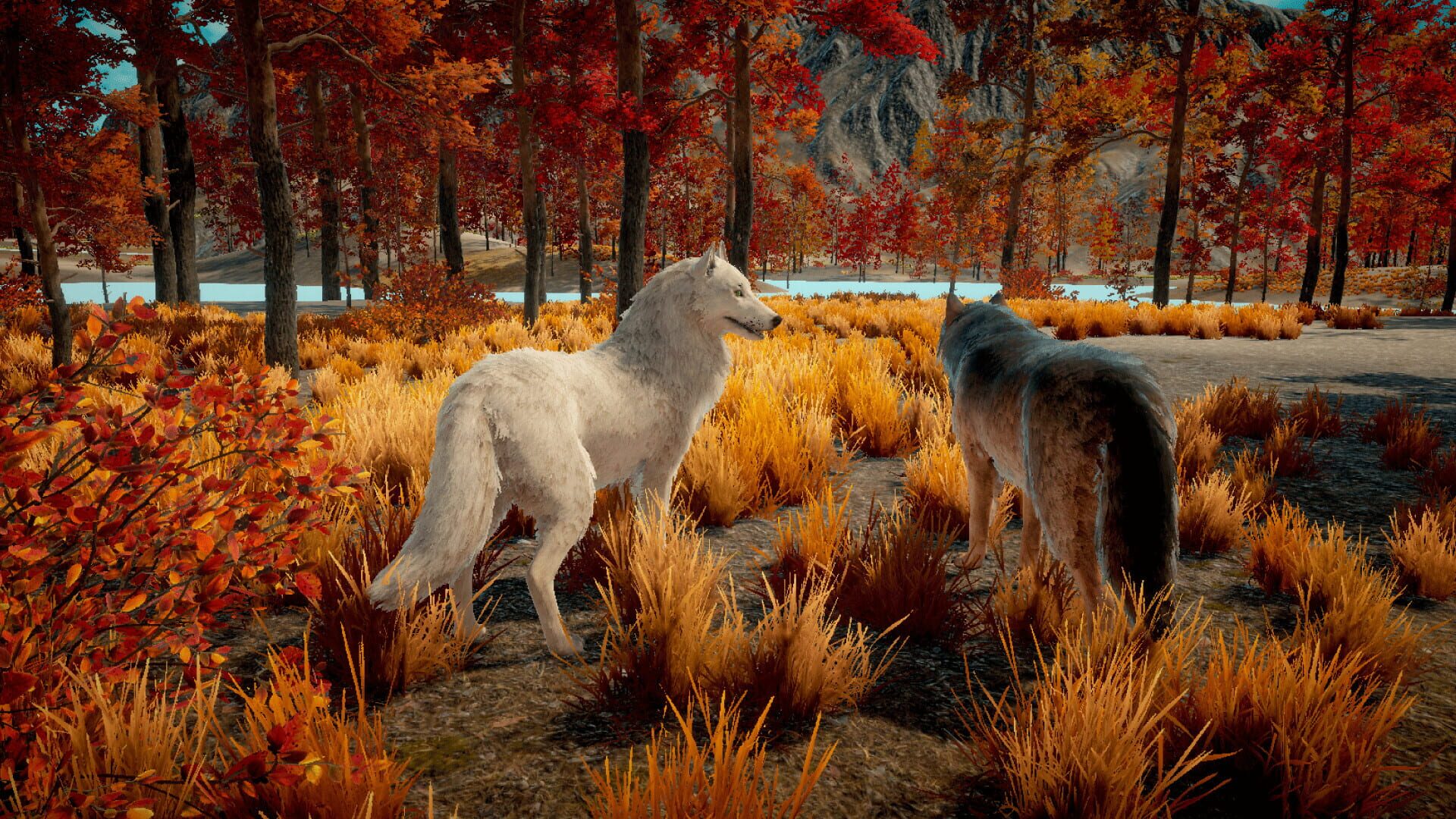 Wolf Survival - Screenshot