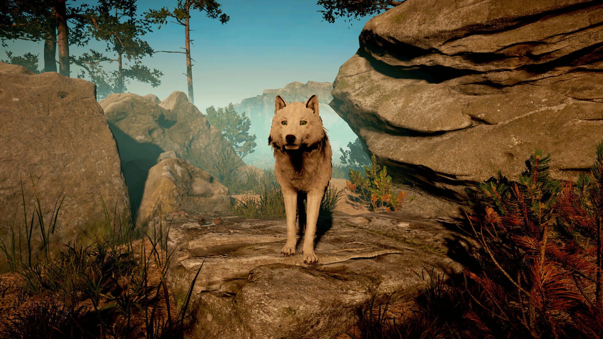 Wolf Survival - Screenshot
