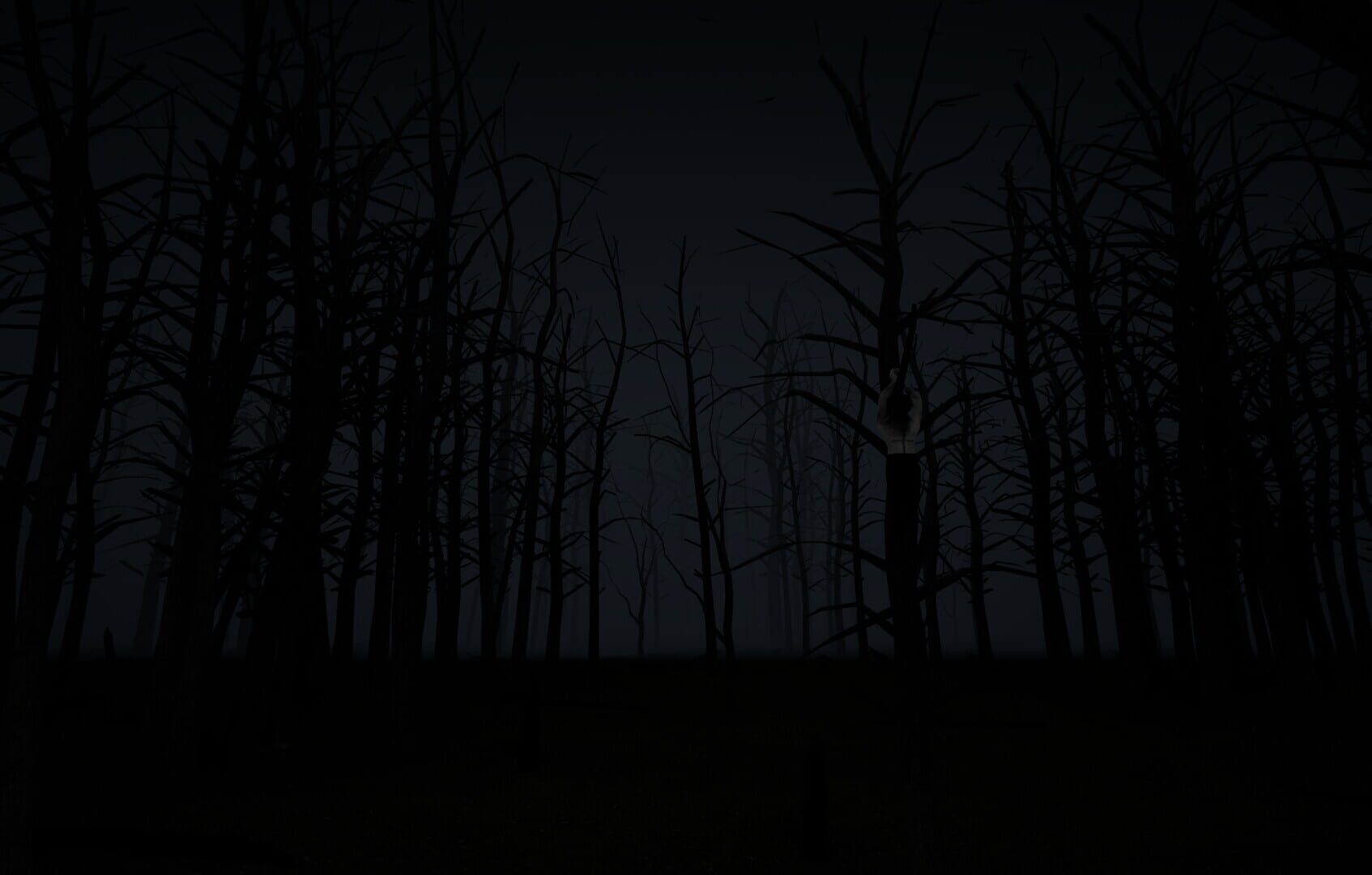 With in the Obscurity - Screenshot
