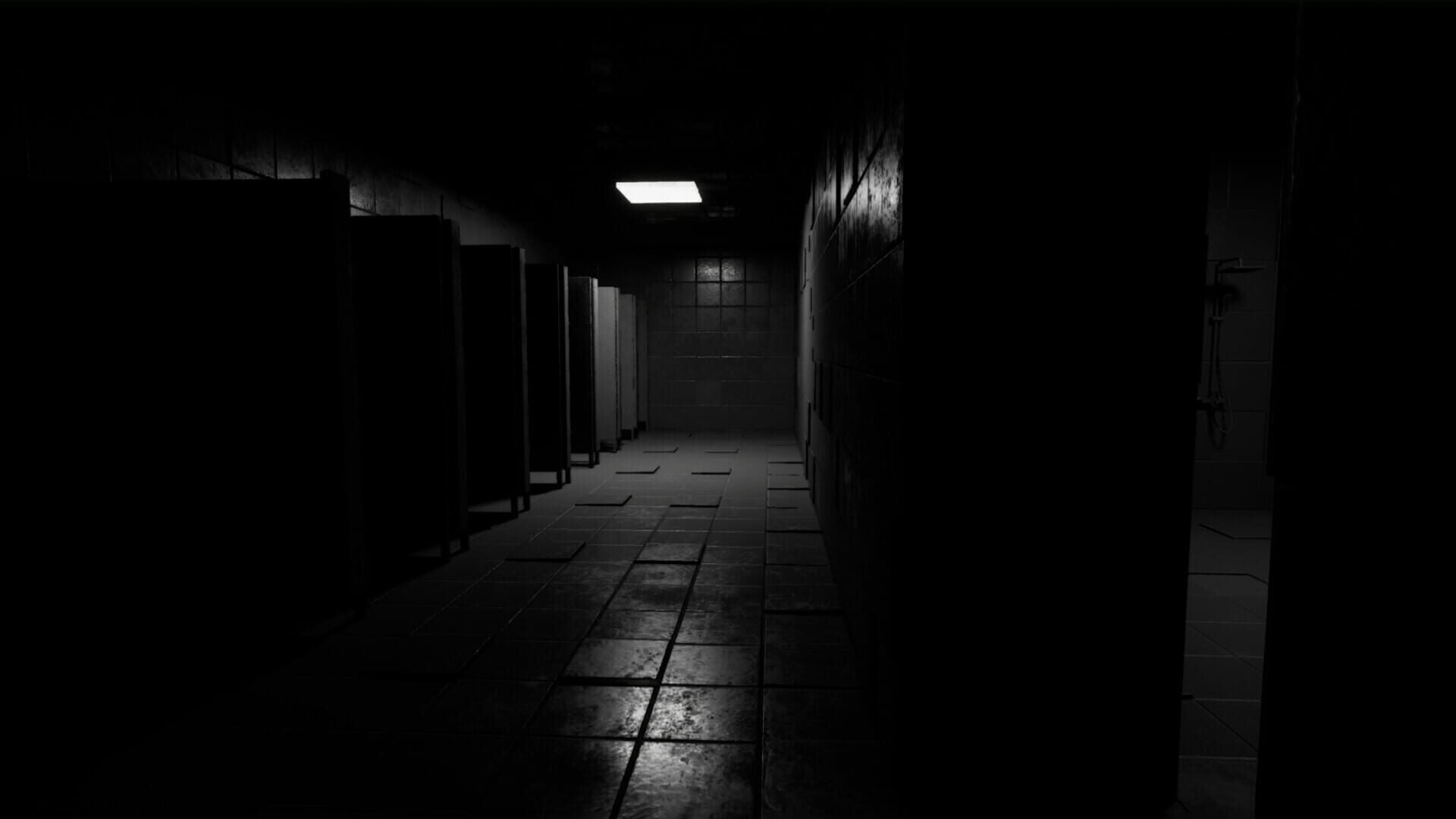 Ephemeral Descent - Screenshot