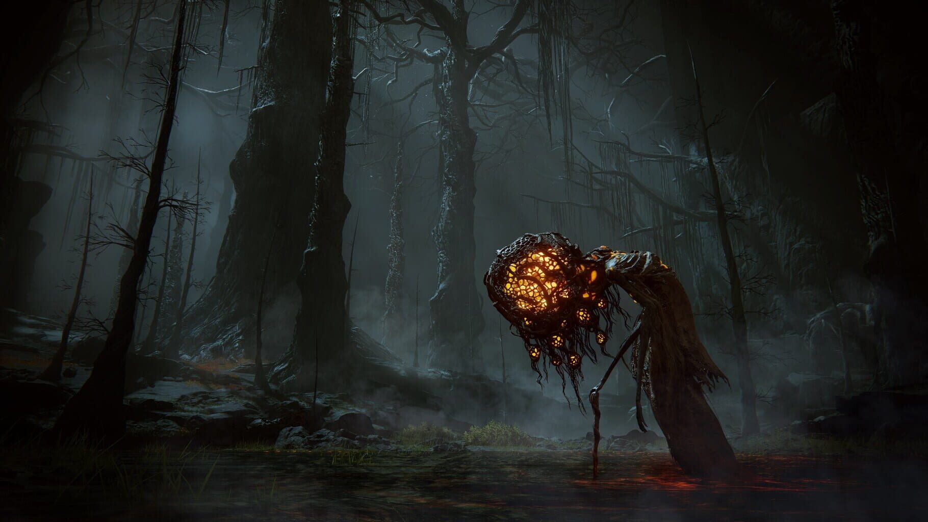 Captura de pantalla - Elden Ring: Shadow of the Erdtree Deluxe Edition