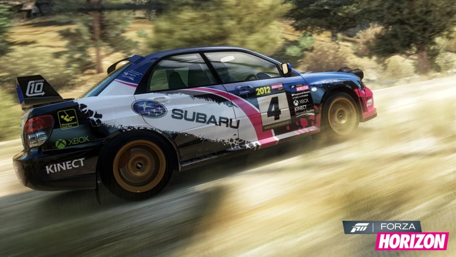Forza Horizon Rally Image