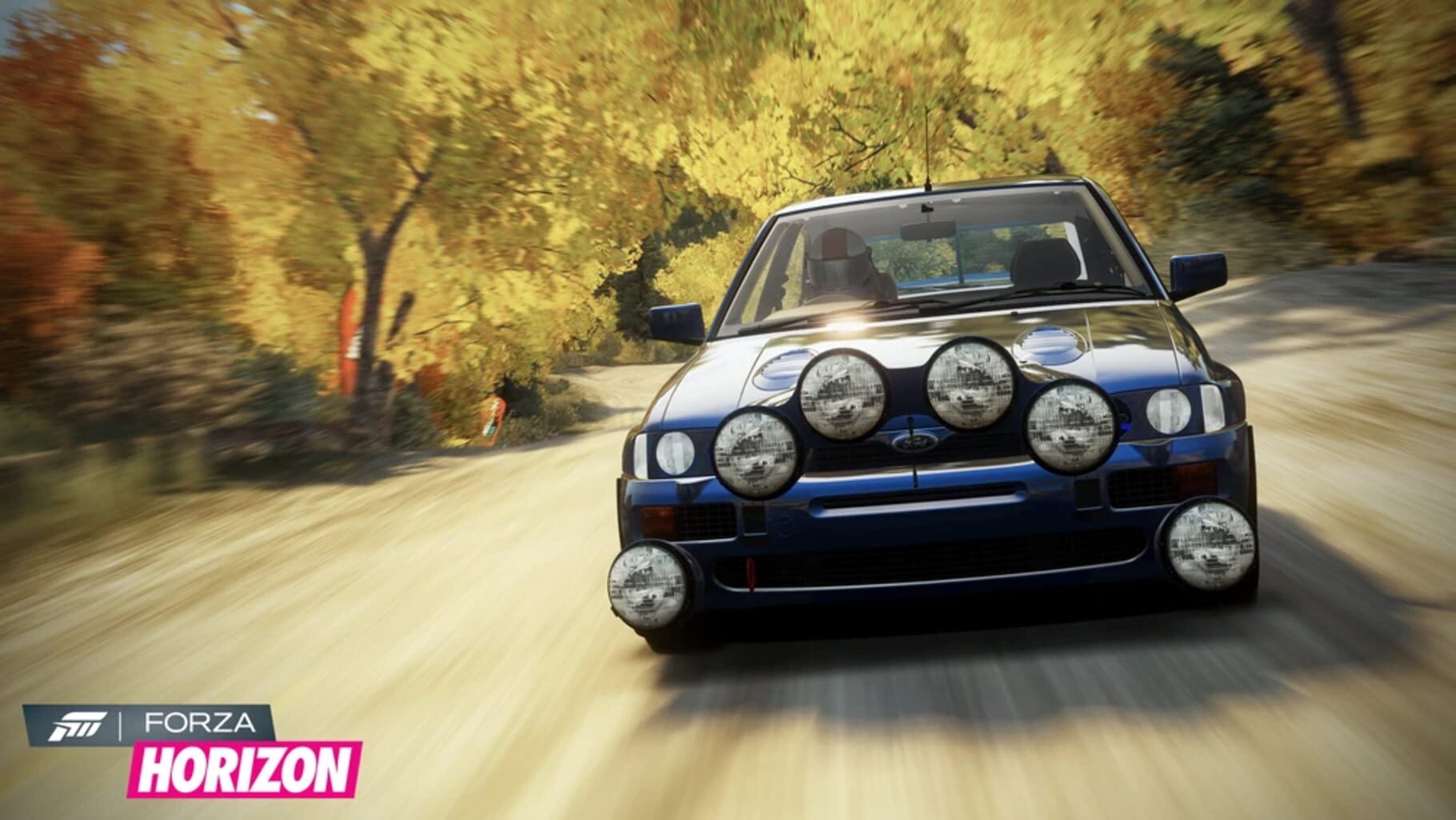 Forza Horizon Rally Image