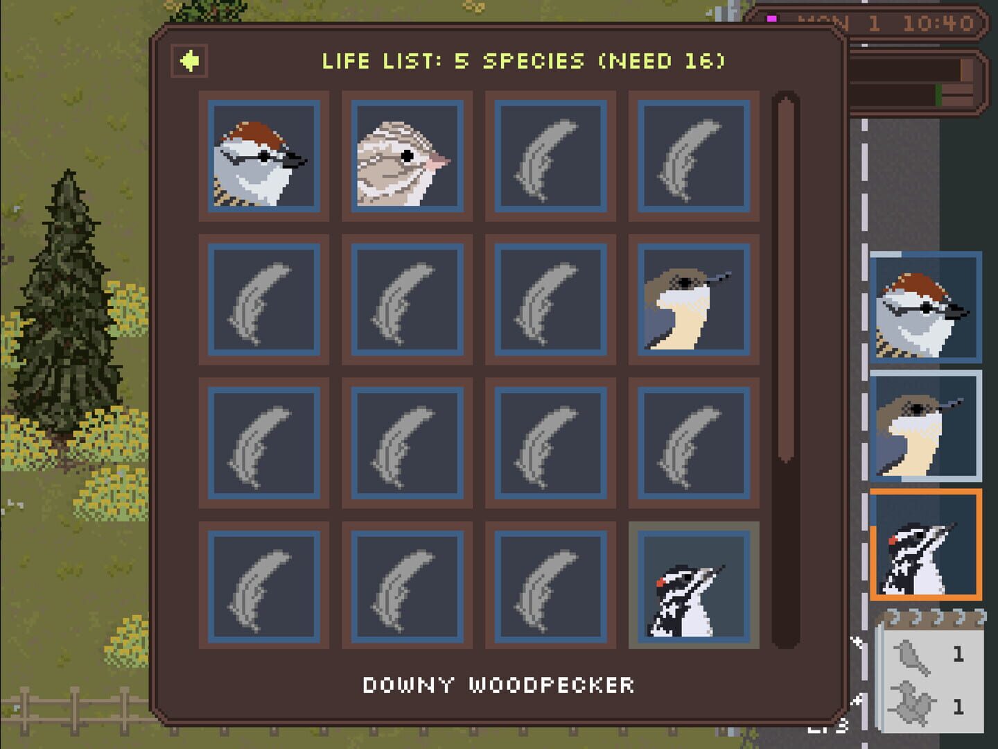 Feather Trail - Screenshot