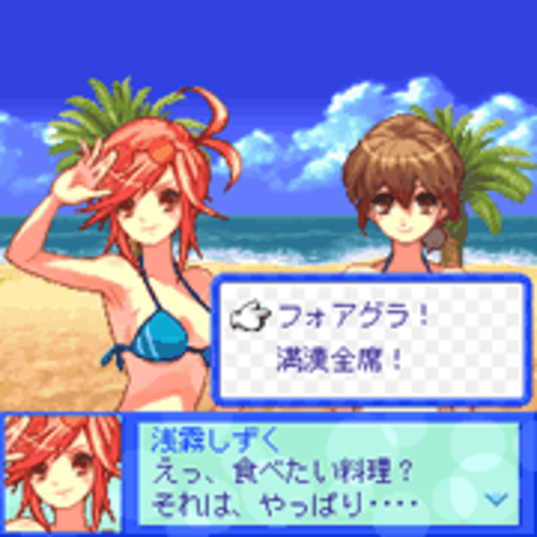 Beach Volleyball Girl Shizuku 2: Hishou-Hen screenshot