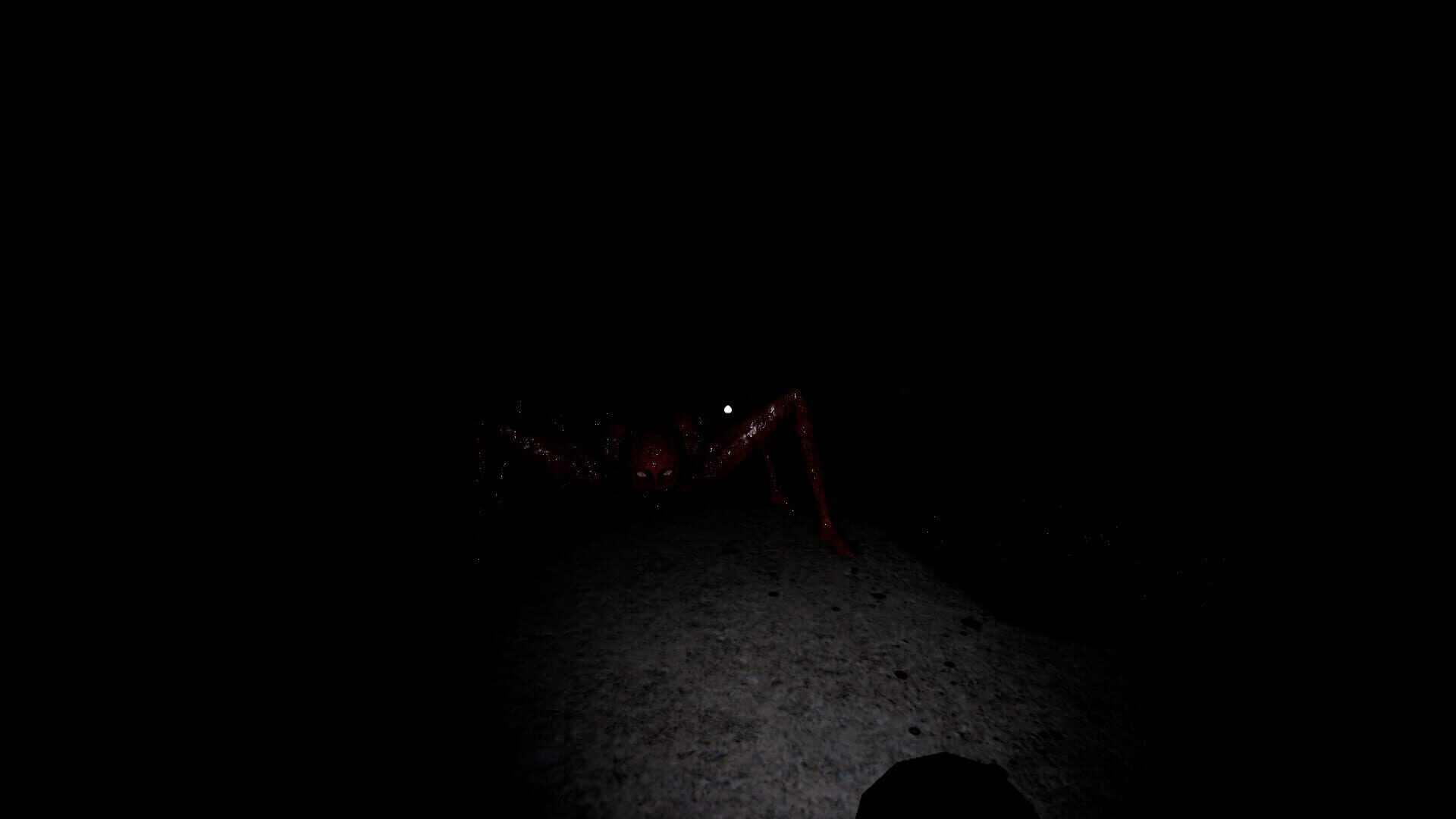 LiveMeat - Screenshot