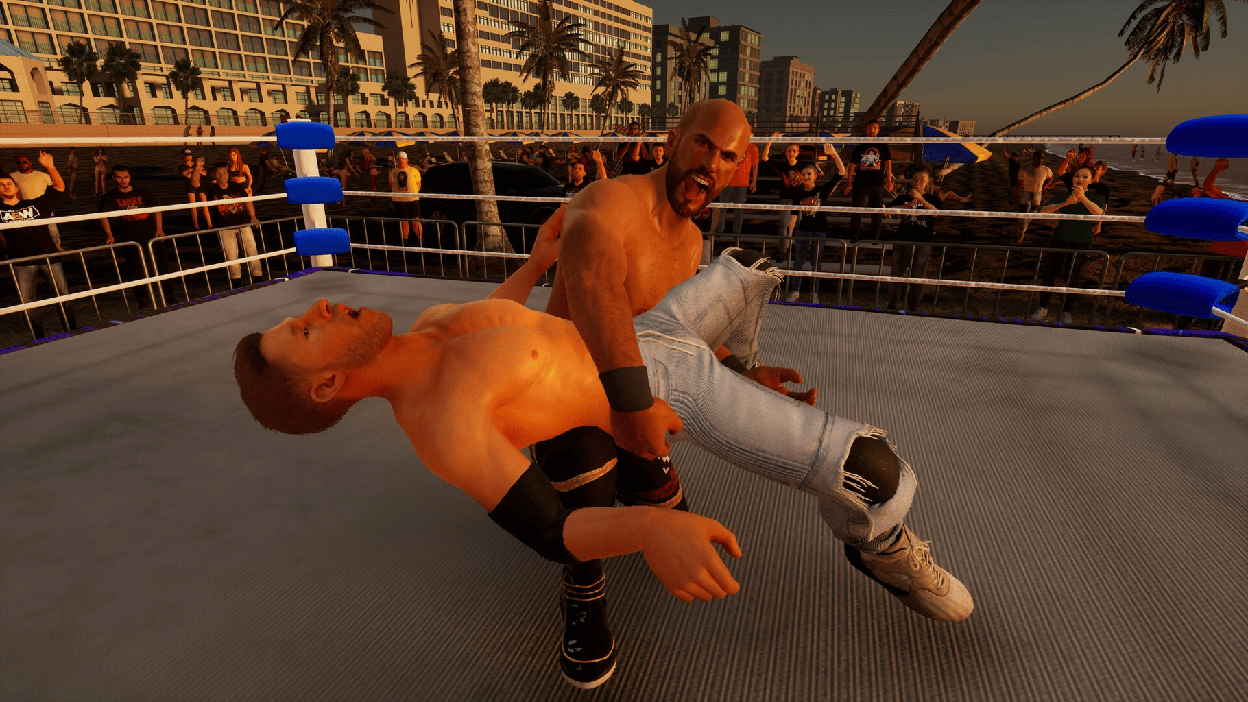 All Elite Wresting: Fight Forever - Giant Swing in the Ring screenshot