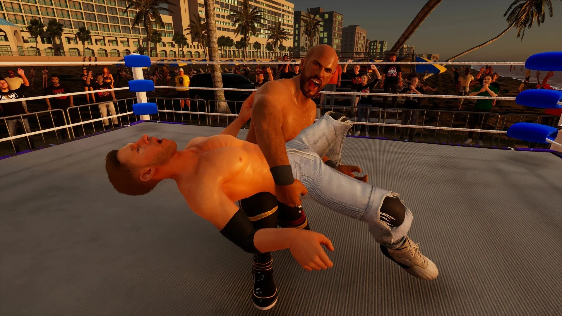 Captura de pantalla - All Elite Wresting: Fight Forever - Giant Swing in the Ring