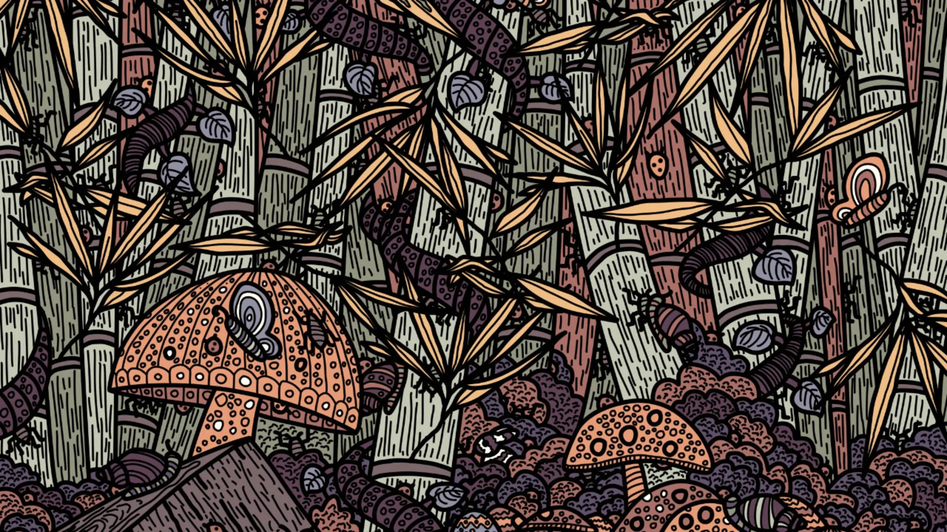 Thumbnail 12
