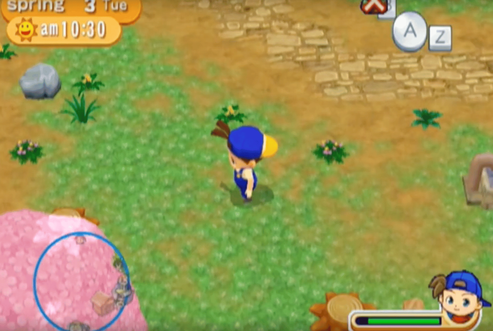 Harvest Moon: Magical Melody screenshot