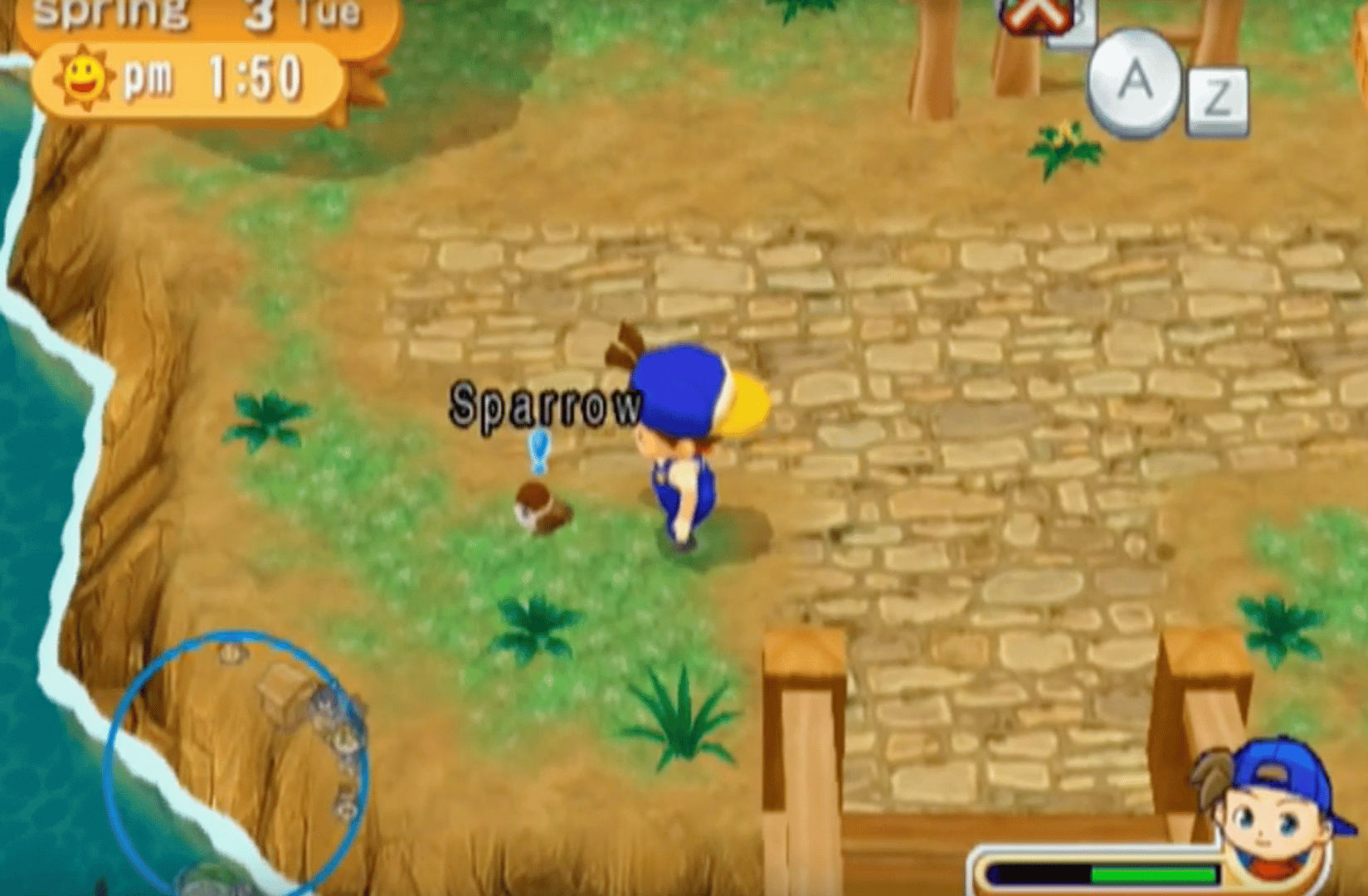 Harvest Moon: Magical Melody screenshot