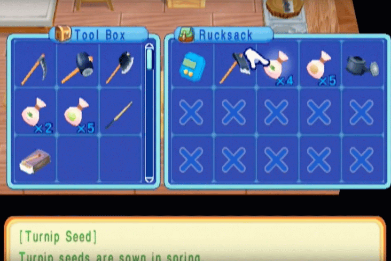 Harvest Moon: Magical Melody screenshot