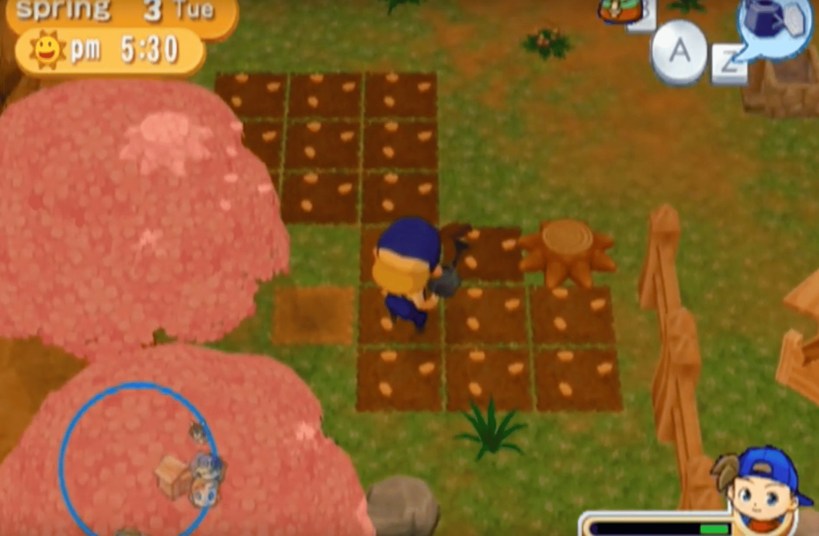 Harvest Moon: Magical Melody screenshot