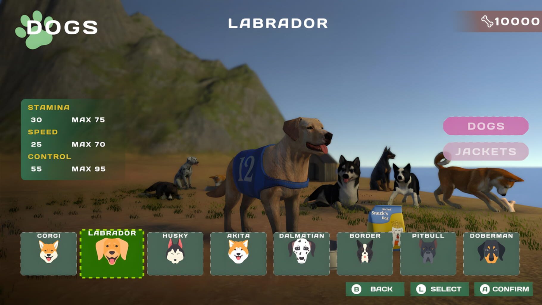 Dog Racing: Lovely Pet Friends Paw screenshot