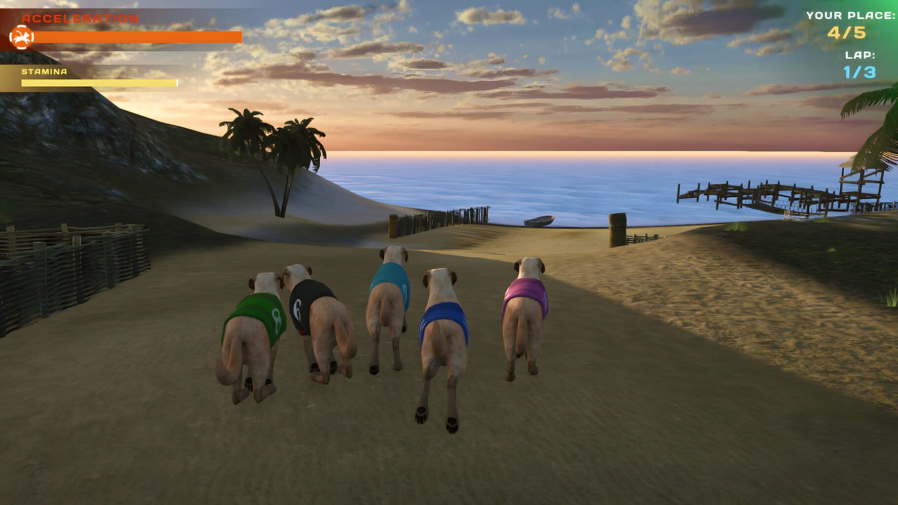 Dog Racing: Lovely Pet Friends Paw screenshot