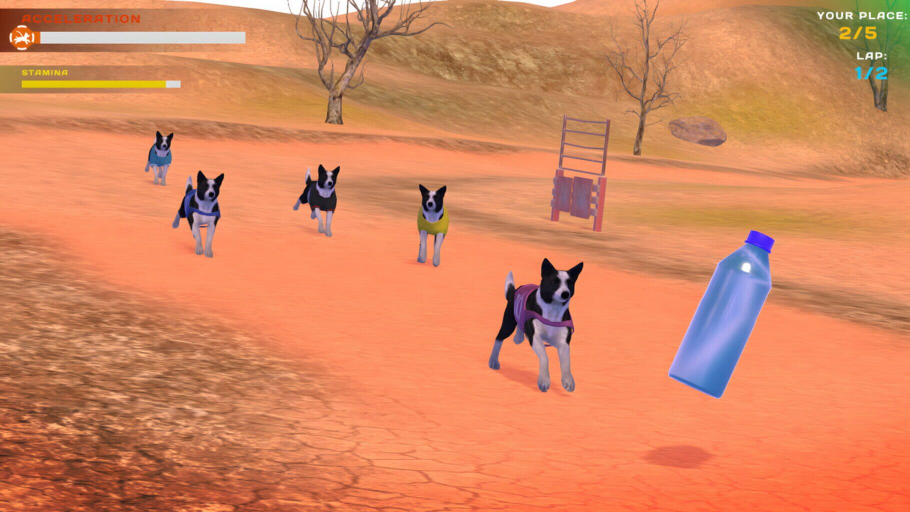 Dog Racing: Lovely Pet Friends Paw screenshot