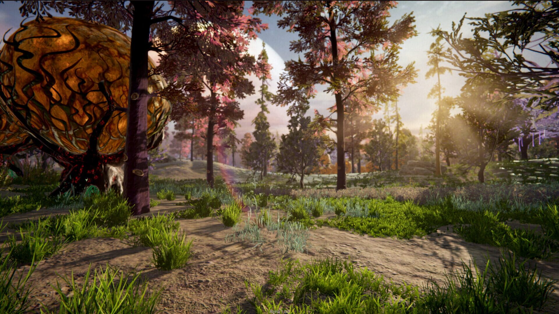 Novark - Screenshot